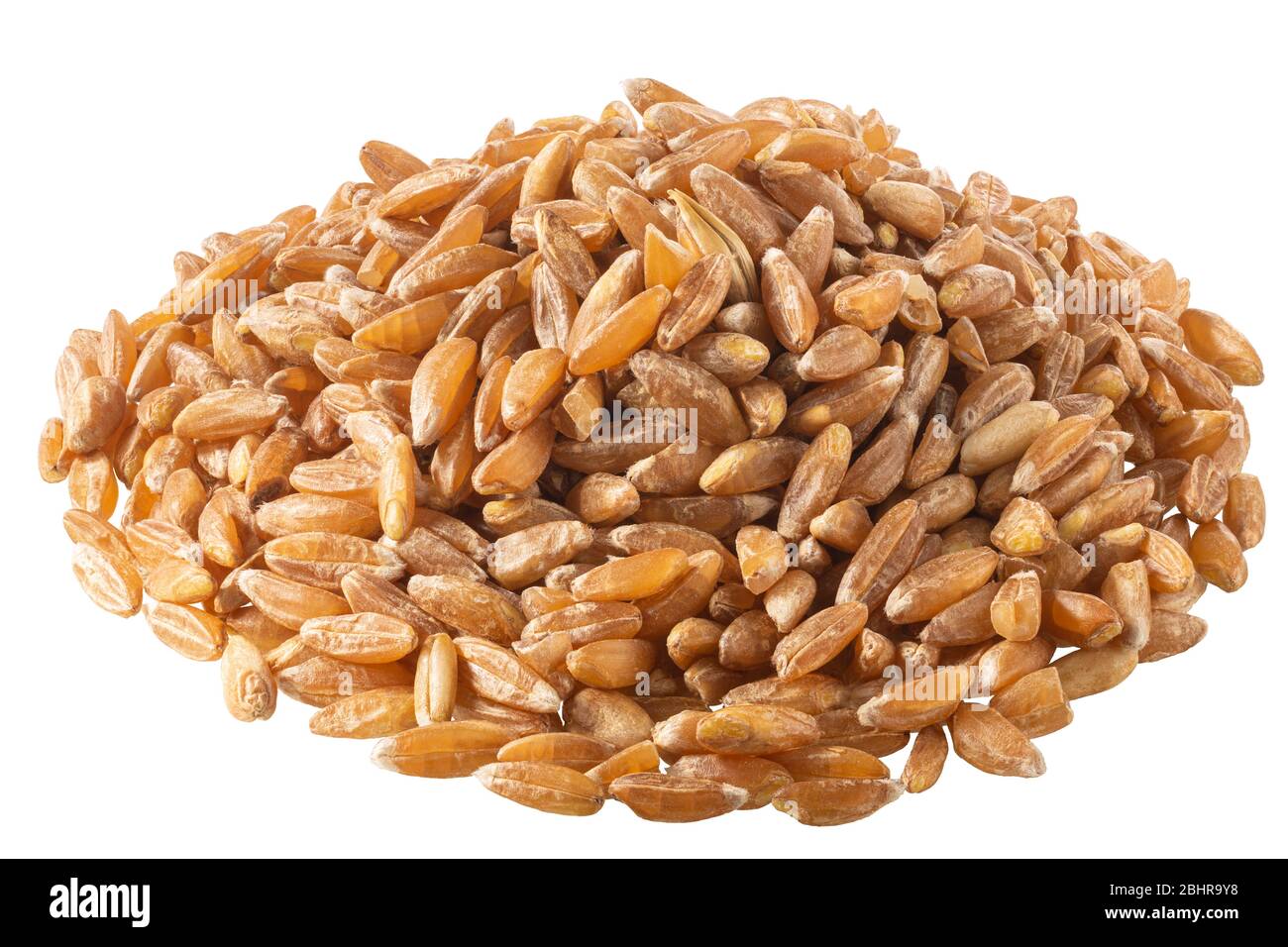 Pila de trigo con cáscara de espelta, farro o einkorn, aislada Fotografía  de stock - Alamy