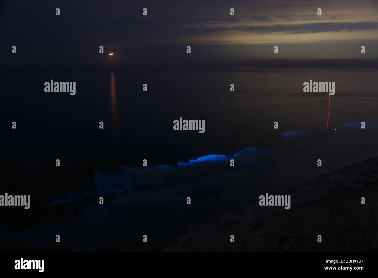 La Jolla, CA. 26 de abril de 2020. Con la luna arriba, las olas nocturnas del océano brillan con bioluminiscencia durante un evento de marea roja. Foto de stock