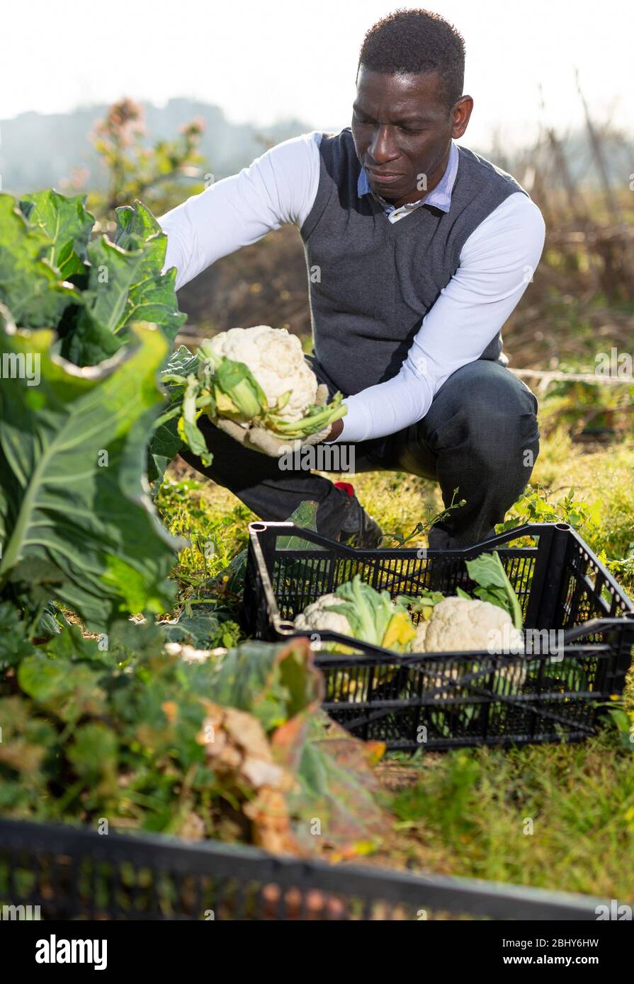 fotos amateur de maduras Sex Images Hq