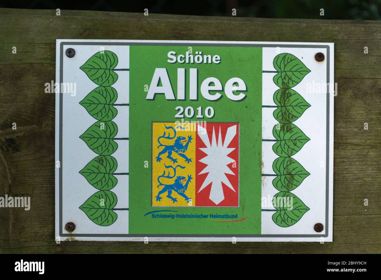 Callejón, con el premio 'Choene Allee 2010' o 'Beautiful Alley', Bad Malente-Rachut, Distrito Ostholstein, Schleswig-Holstein, Alemania del Norte, Europa Foto de stock