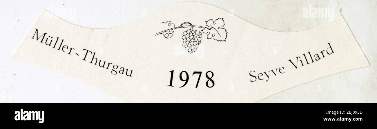 Etiqueta de vino. - Muller Thurgau. 1978. Seyve Villard. Vino no identificado. Foto de stock