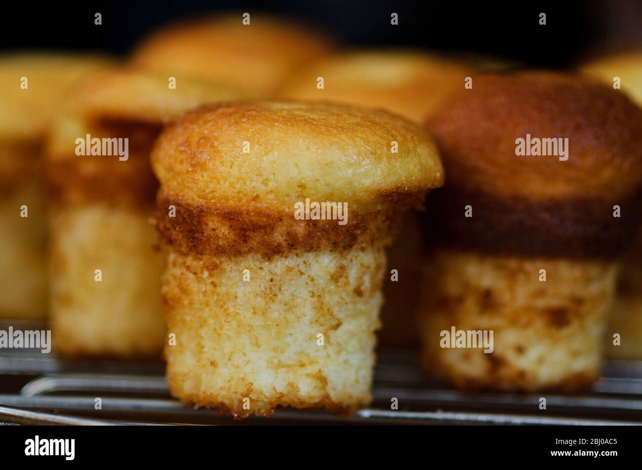 Pequeños pasteles de hadas sin gluten cocinados en molde alto para tartas. Receta disponible con la compra de fotografías Foto de stock