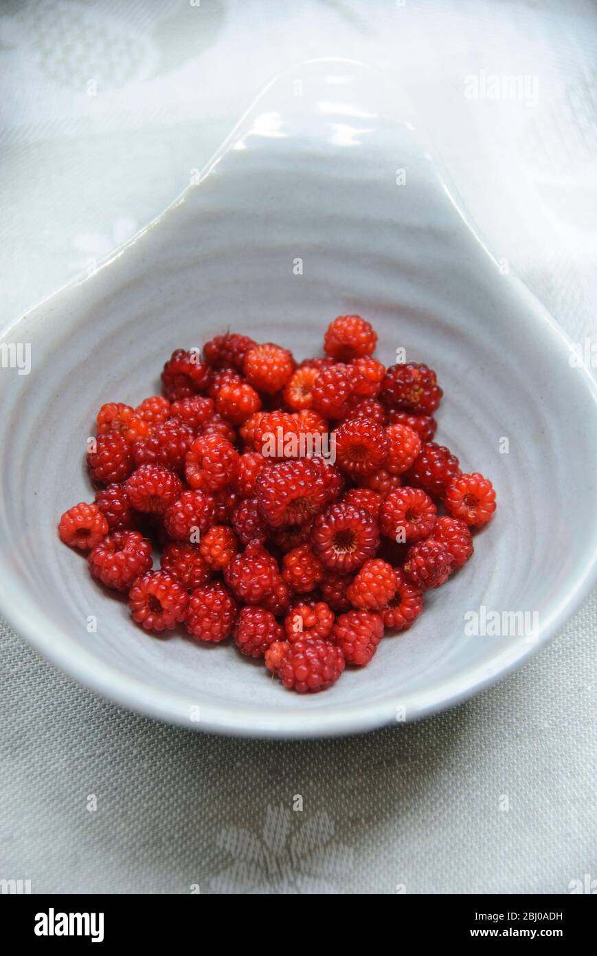 Vineberry japonés - (Rubus phoenicolasio) en cuenco pequeño - Foto de stock