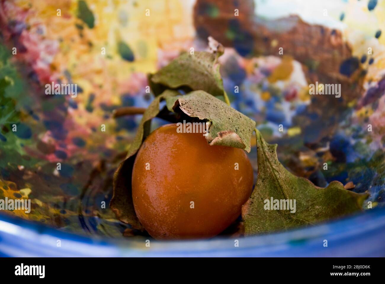 Fruta de caqui madura en un plato de cerámica brillante y pinterly - Foto de stock