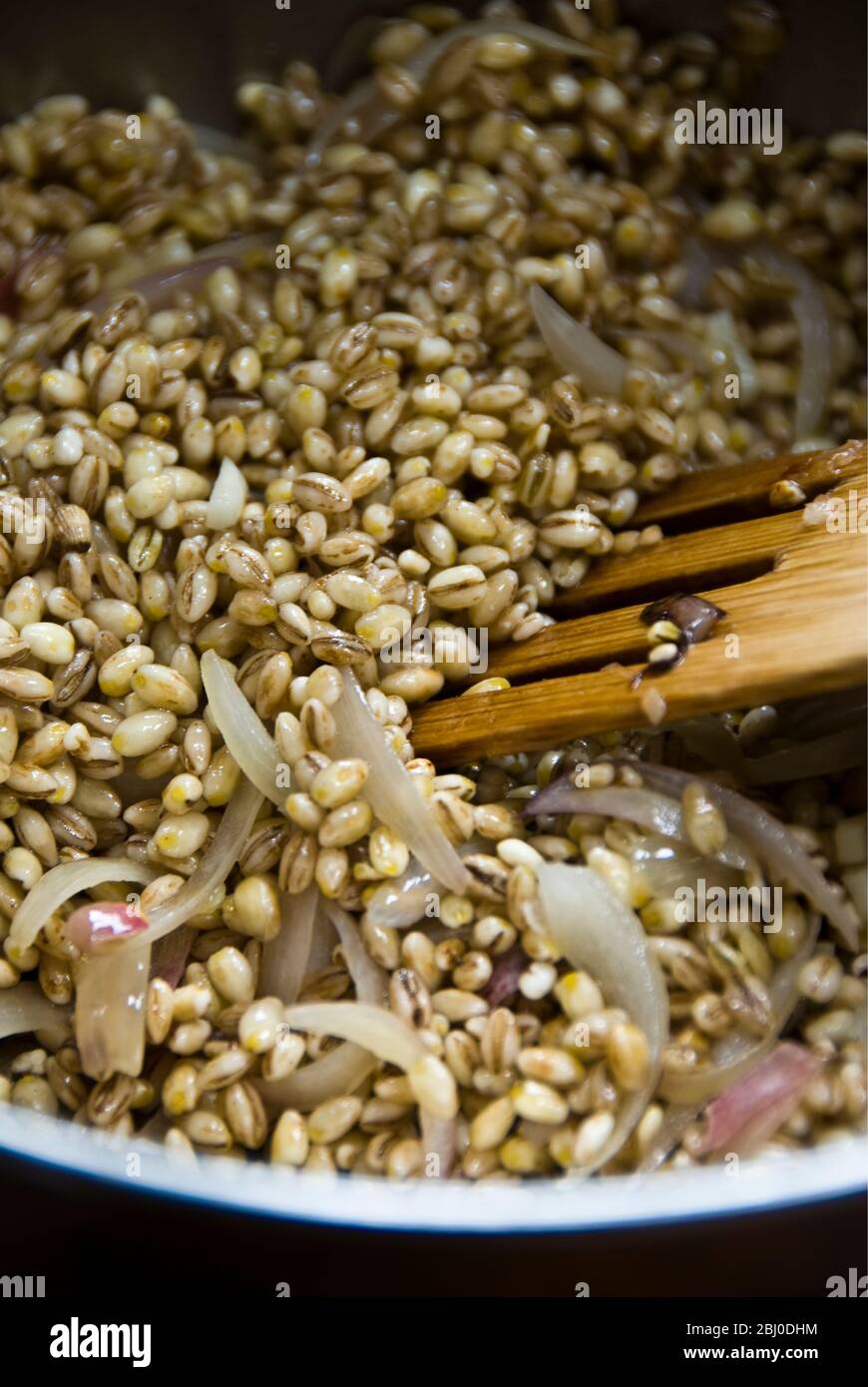 Cocción de granos de cebada con cebolla cortada en aceite de oliva, empezando a hacer risotto de cebada - Foto de stock