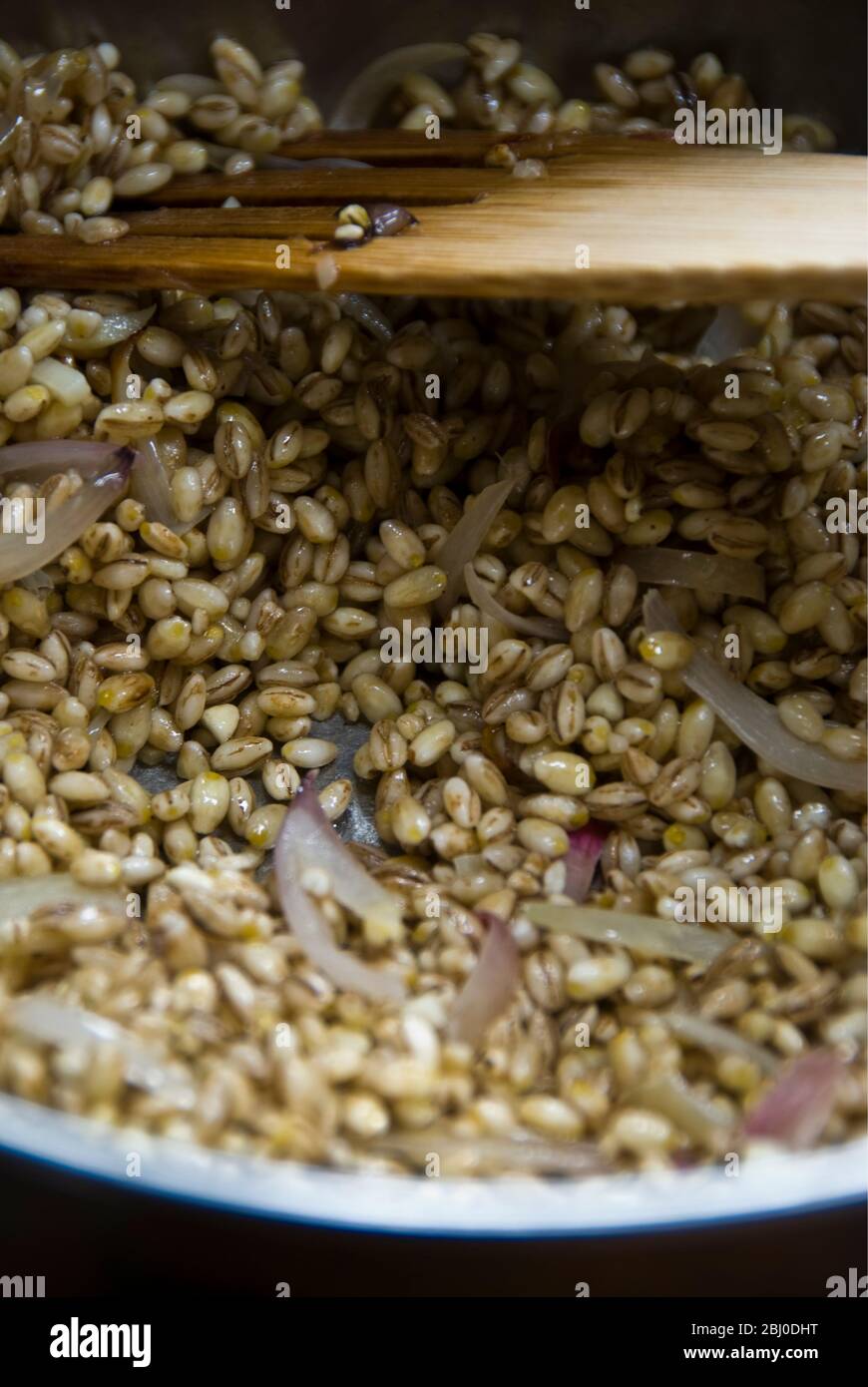 Cocción de granos de cebada con cebolla cortada en aceite de oliva, empezando a hacer risotto de cebada - Foto de stock