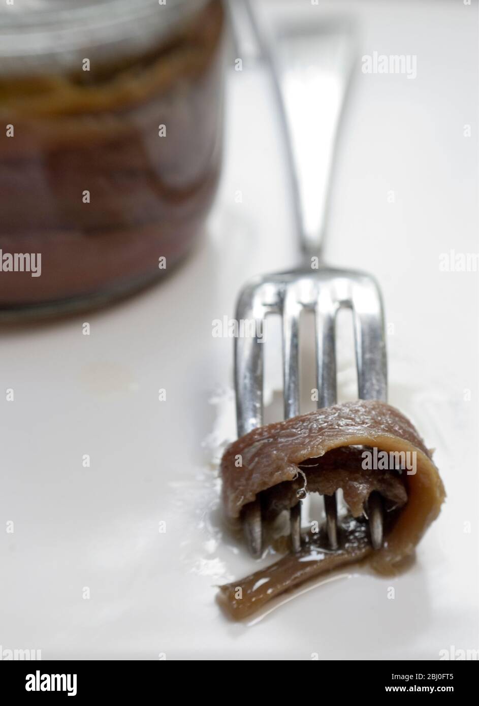 Filetes de anchoas en aceite en tarro de conservación, con un solo filete en un tenedor - Foto de stock