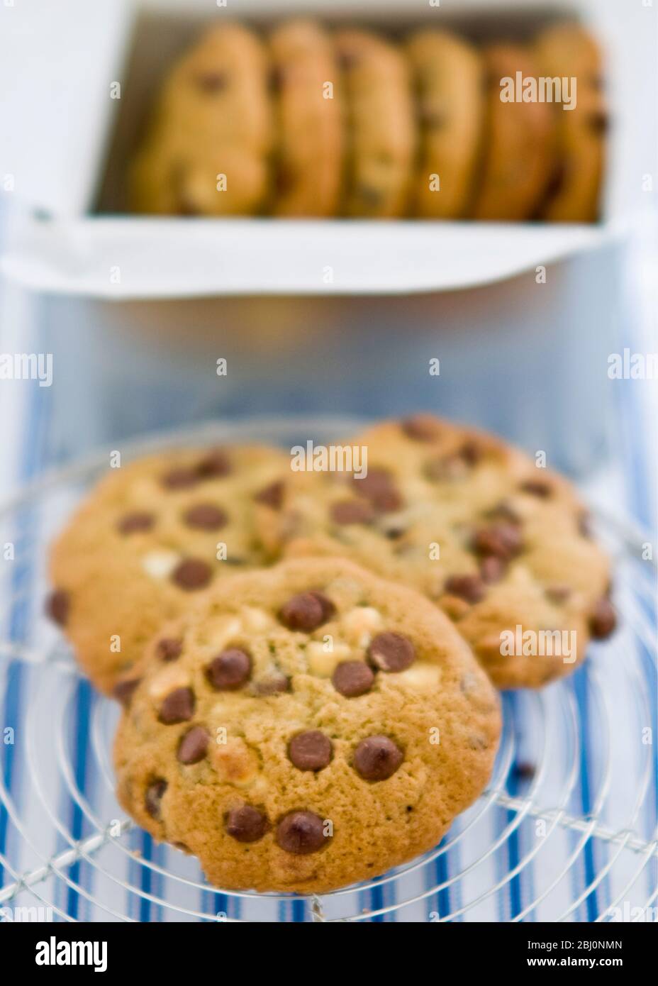 Galletas con trocitos de chocolate en el rack de refrigeración - Foto de stock