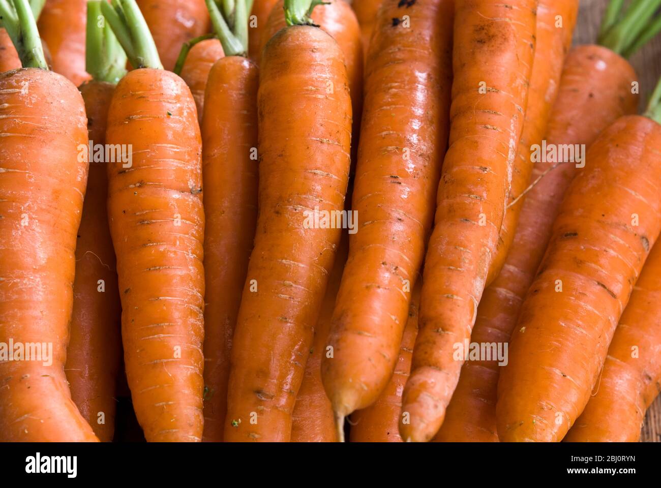 Pila de zanahorias frescas crudas con partes de arriba verdes - Foto de stock