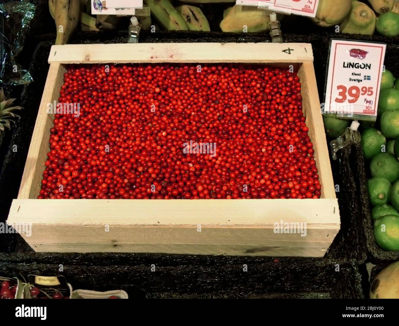 Bandeja de lingonberries a la venta en el supermercado sueco. Como un arándano silvestre estos crecen profusamente en los bosques suecos y se utilizan para hacer una tarta j Foto de stock