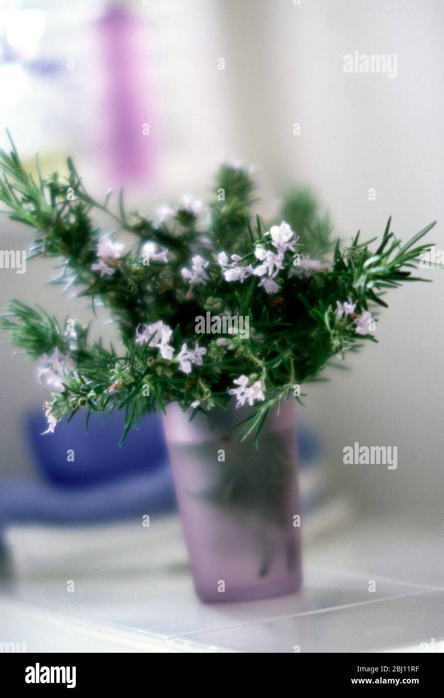 Ramo de ramita de romero en flor en cristal malva en el alféizar de la ventana del baño. - Foto de stock
