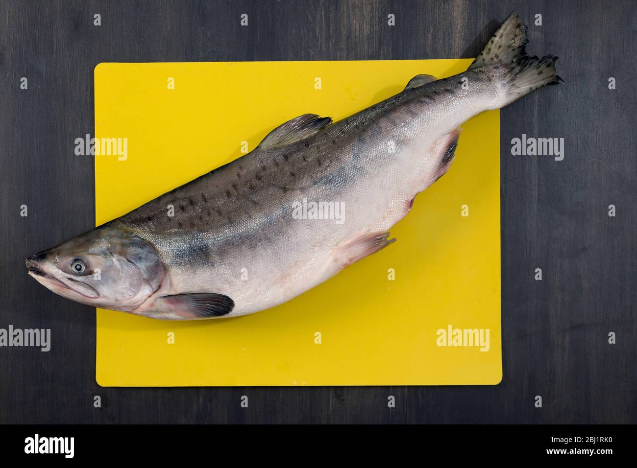 Pescado crudo para perros fotografías e imágenes de alta resolución Alamy