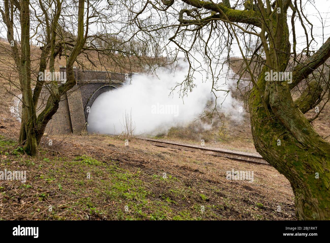 Una nube de corriente de un tren de vapor restaurado fluye de un túnel en el ferrocarril Gloucestershire Warwickshire que se ha vuelto a abrir. Foto de stock