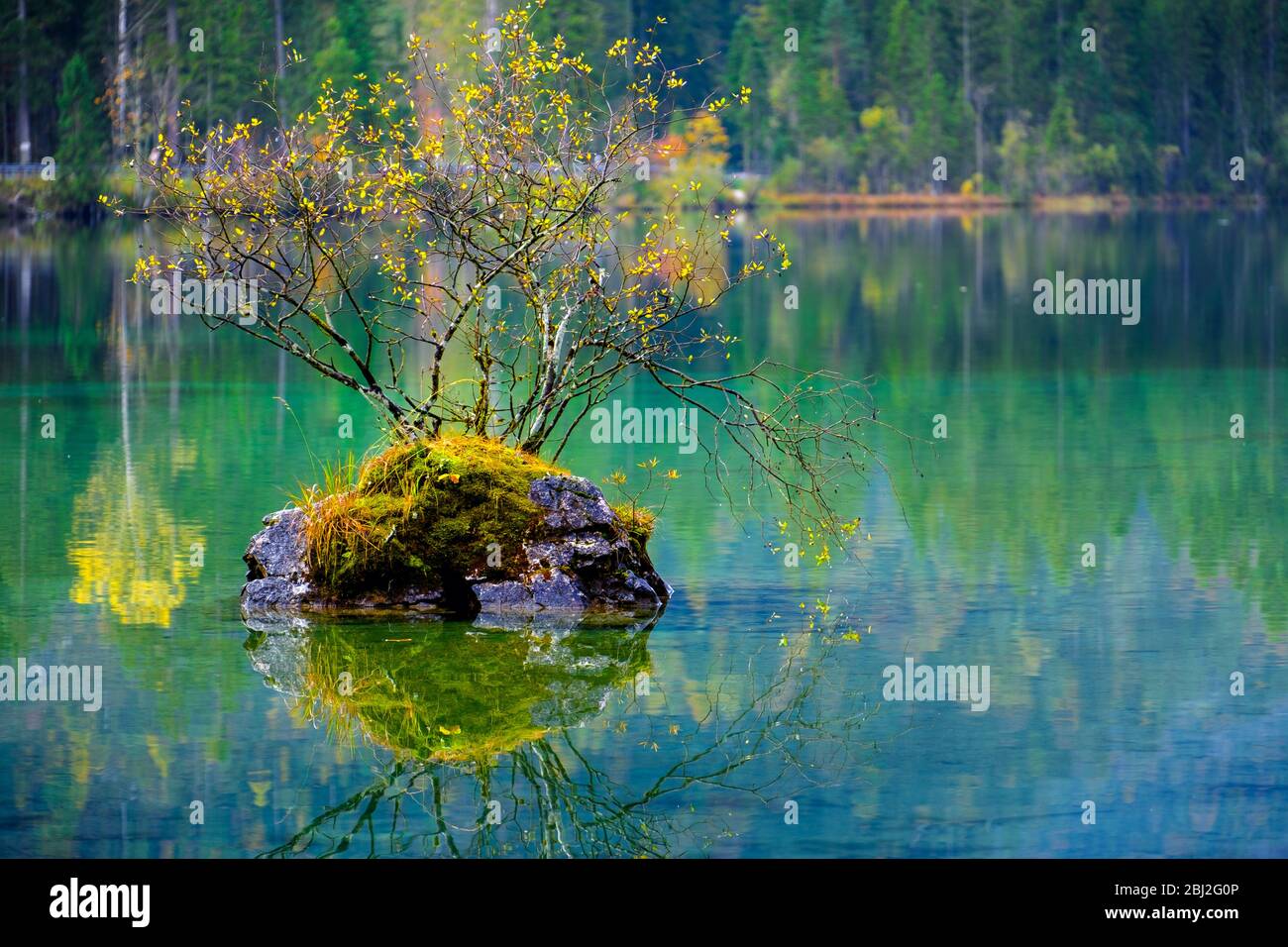 Otoño maravilloso en el lago Hintersee de los Alpes Bávaro en la frontera austriaca, Alemania, Europa Foto de stock