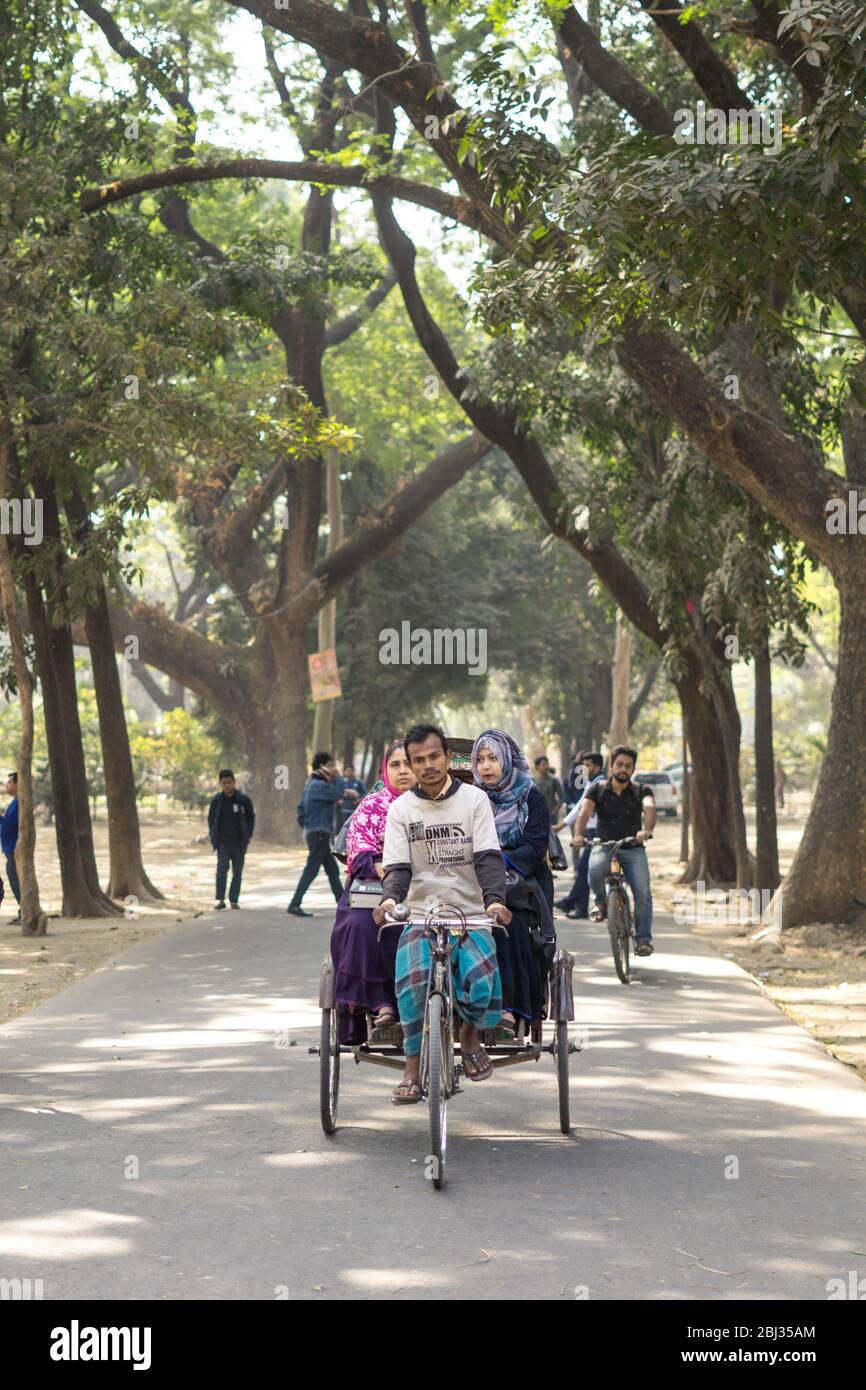 Dhaka / Bangladesh - 14 de enero de 2019: Rickshaw transportando pasajeros en una hermosa calle rodeada de árboles verdes Foto de stock