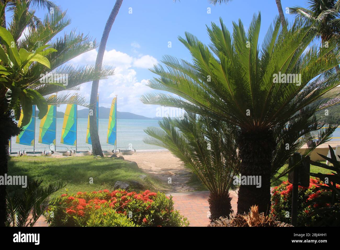 Hamilton Island, Queensland, Australia Foto de stock