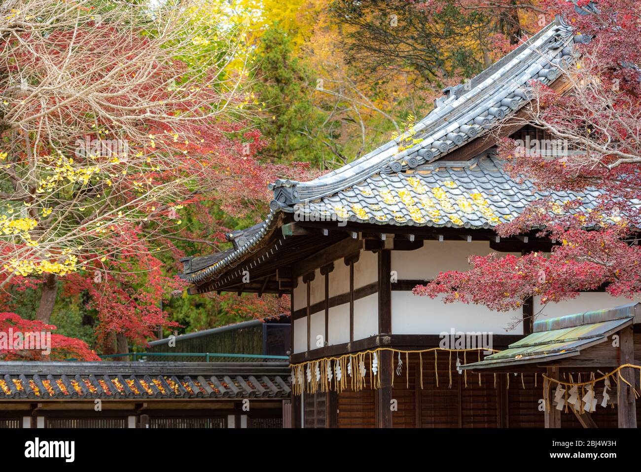 Santuario tamukeyama hachiman fotografías e imágenes de alta resolución