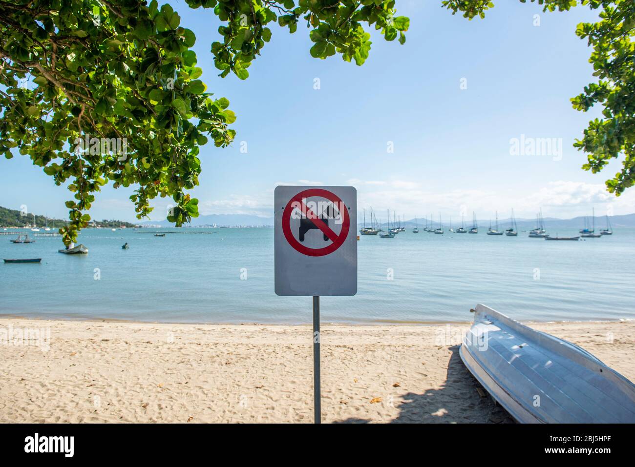No se admiten animales en la playa. Perros prohibidos. Señal que prohibía a los animales domésticos entrar en la playa. Prohibición de perro con signo rojo. Beautifu Foto de stock