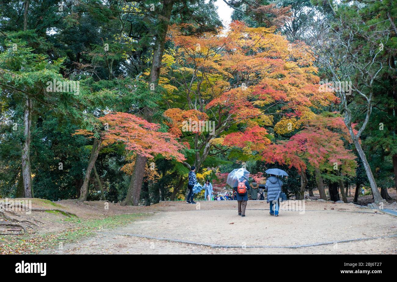 Santuario tamukeyama hachiman fotografías e imágenes de alta resolución