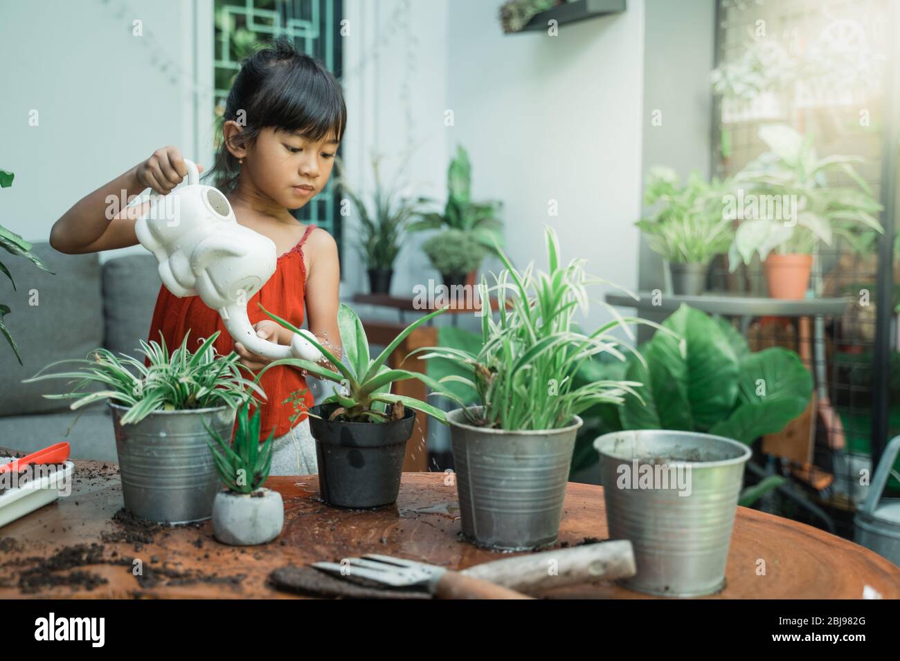 feliz asiático niño plantando y la actividad de jardinería en casa por sí misma Foto de stock