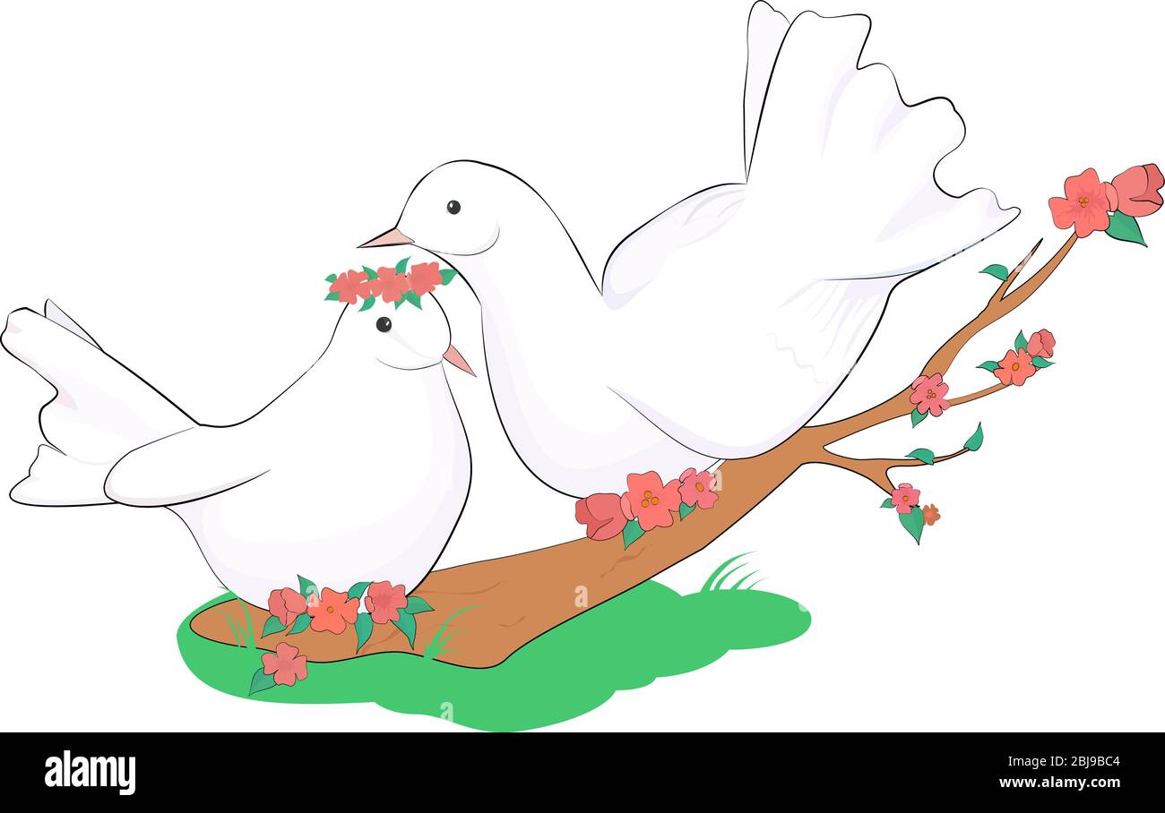 Dibujos animados pareja de palomas blancas en amor en la rama floreciente.  Ilustración vectorial de acciones para postal Imagen Vector de stock - Alamy