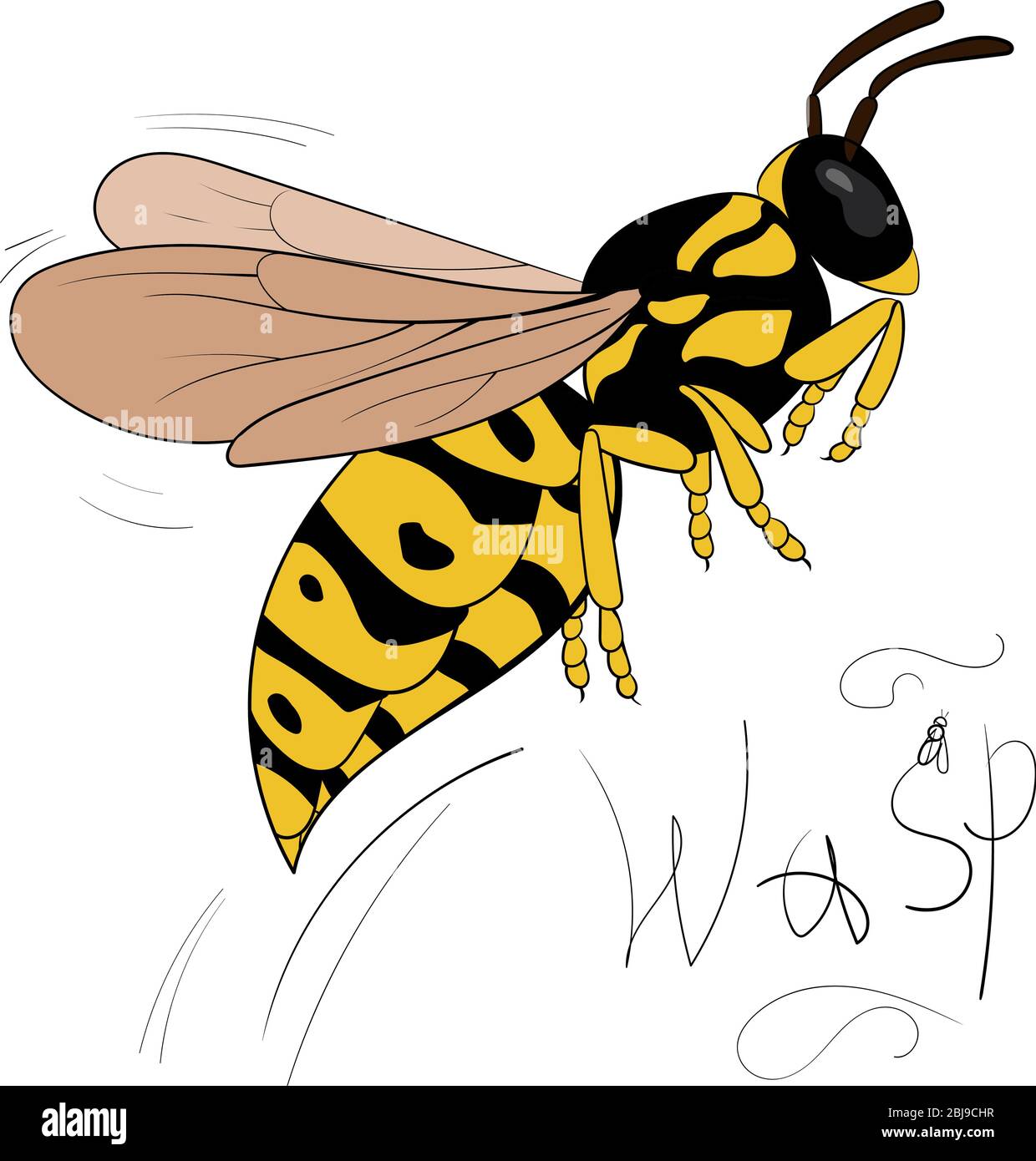 Dibujos animados moscas avispas amarillas. Ilustración de insectos aislada  sobre fondo blanco Imagen Vector de stock - Alamy