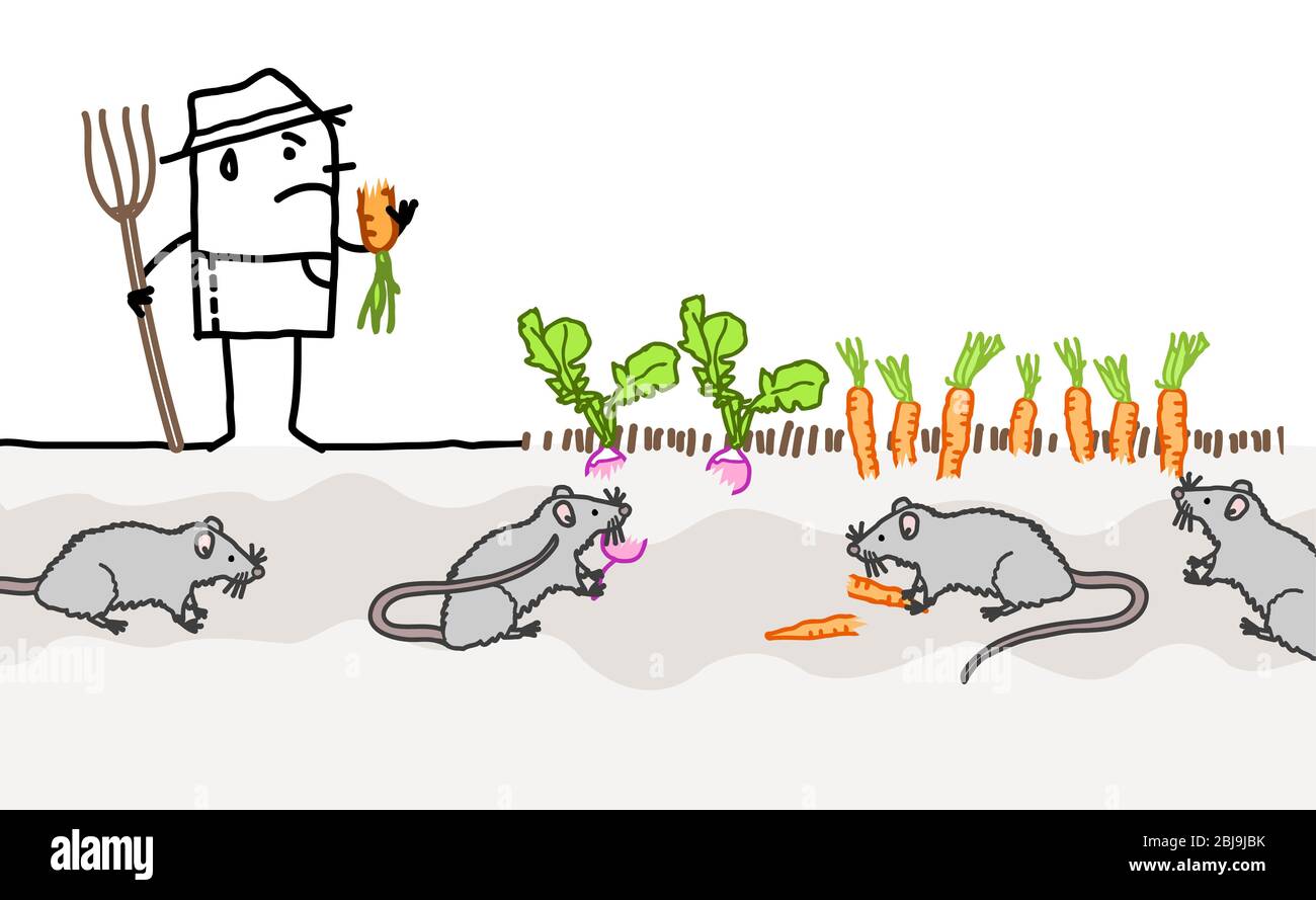 Cartoon dibujado a mano agricultor infeliz debido a ratones que comen sus verduras Foto de stock