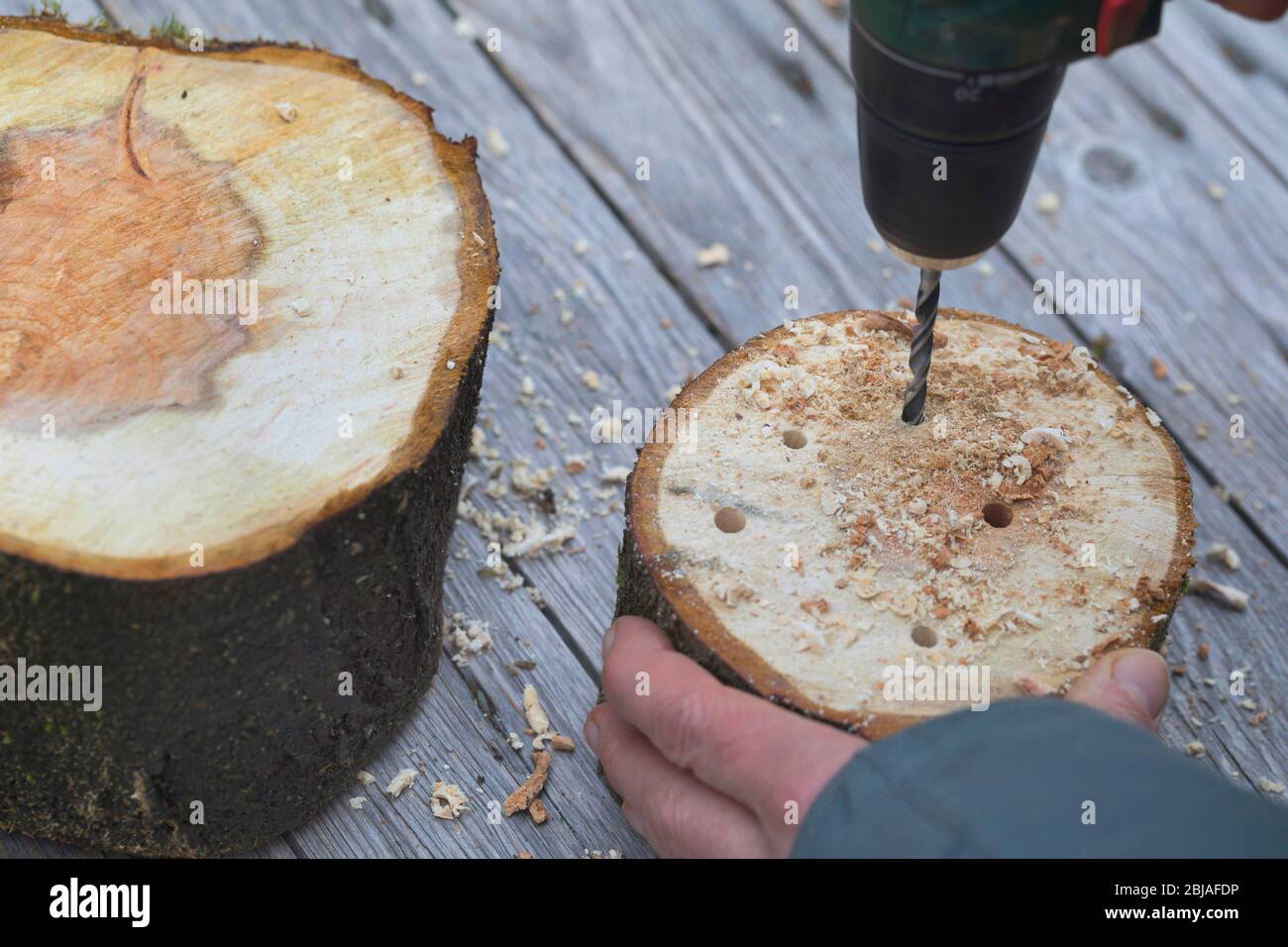 Ayuda a la anidado de abejas silvestres, perforación de agujeros en disco de madera, Alemania Foto de stock