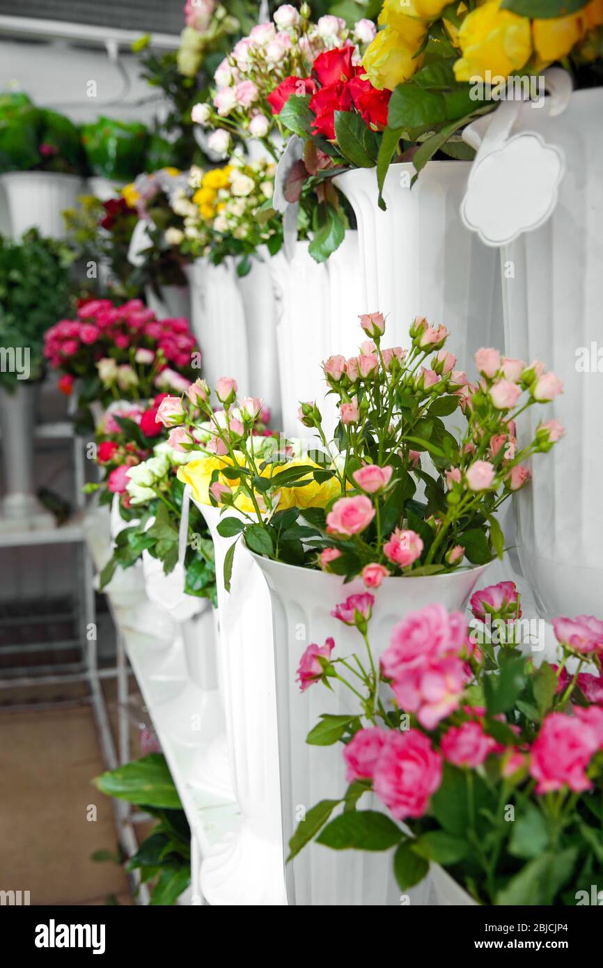 Jarrones de plástico con hermosas rosas en la tienda de flores Fotografía  de stock - Alamy