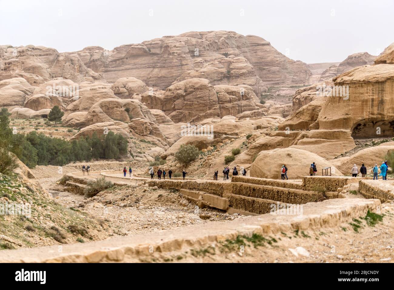 Turistas caminando hacia Petra, Jordania Foto de stock