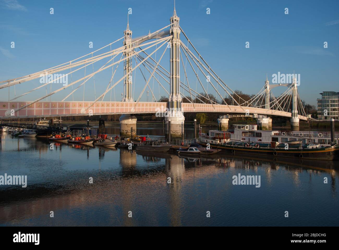 hazlo plano probable Pastor Estructura del puente colgante Arquitectura tradicional Albert Bridge,  Londres, SW11 4PH por Rowland Mason Ordish & Sir Joseph Bazalgette  Fotografía de stock - Alamy