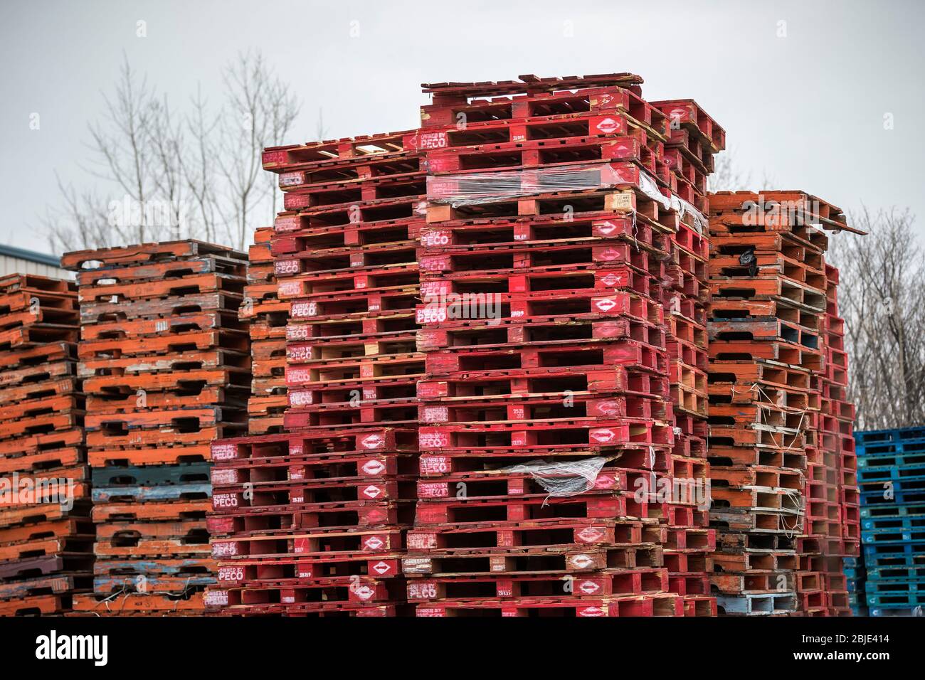 Palets de madera apilados, Manitoba, Canadá. Foto de stock