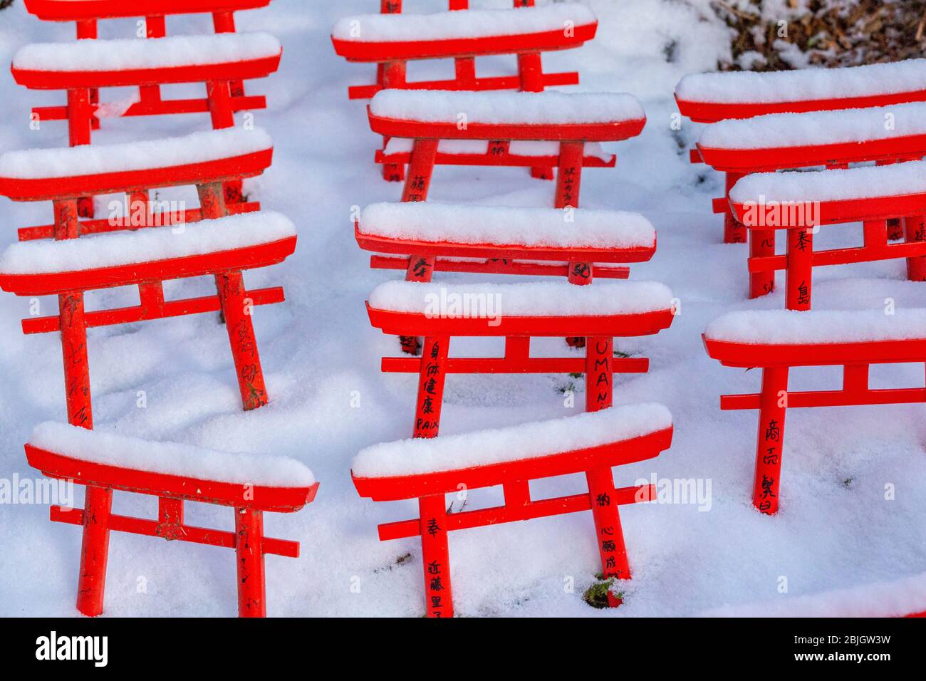 Puerta torii en Koyasan, torri es una puerta tradicional japonesa que se encuentra más comúnmente en la entrada o dentro de un santuario sintoísta. Foto de stock