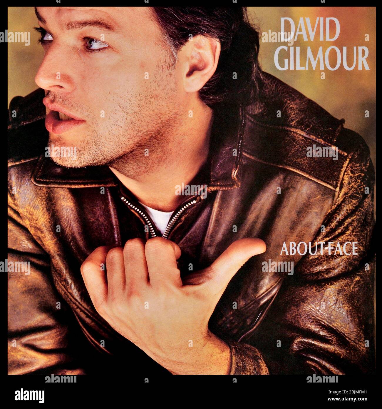 David Gilmour - portada original del álbum de vinilo - About Face - 1984 Foto de stock