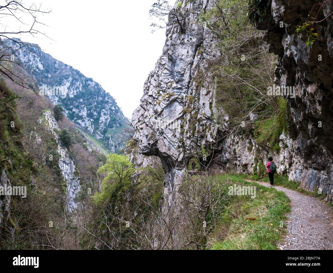Ruta de las Xanas. Asturias. España Fotografía de stock - Alamy