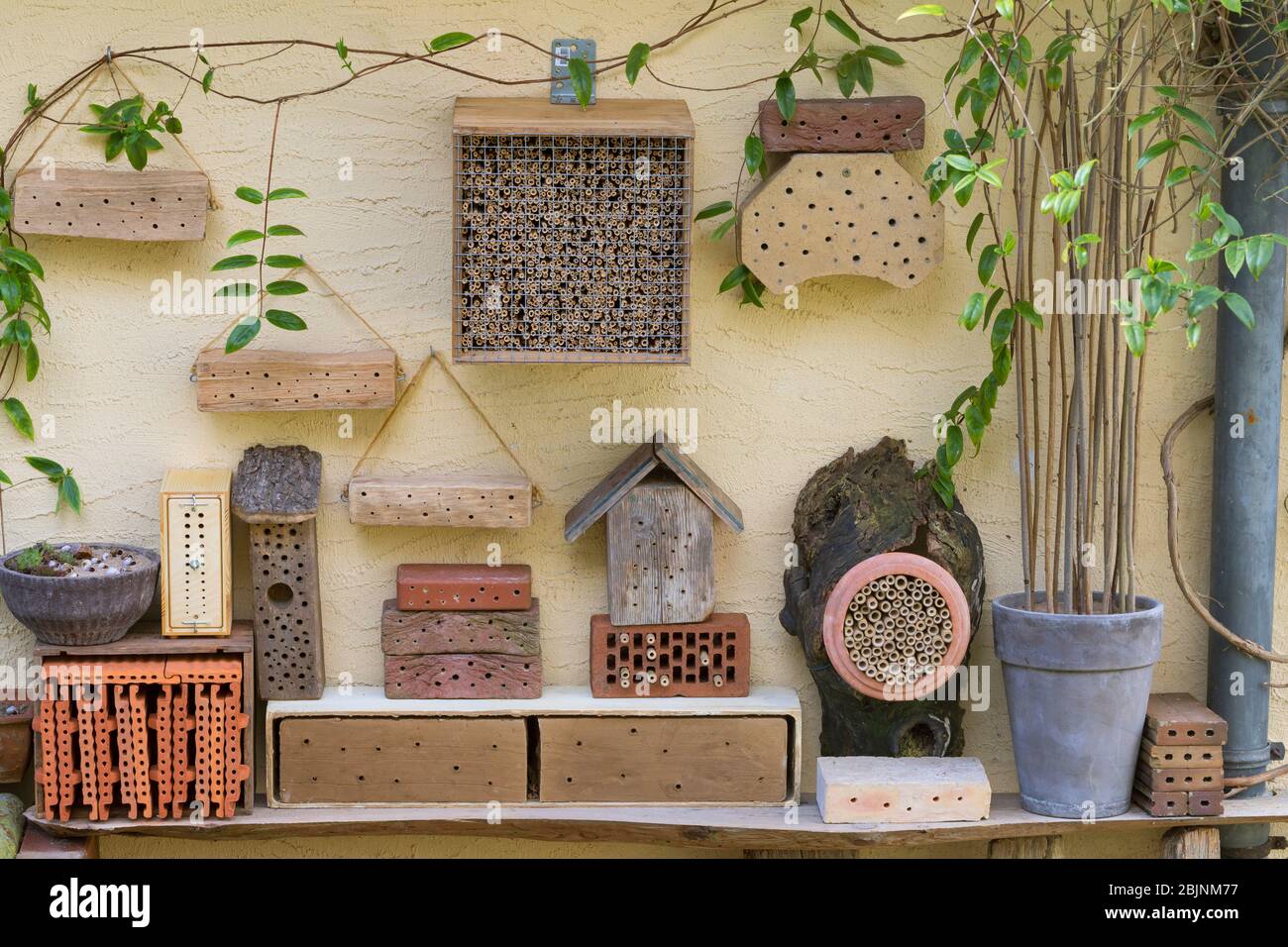 ayudas de anidado para las abejas silvestres en la fachada bajo las alaves Foto de stock