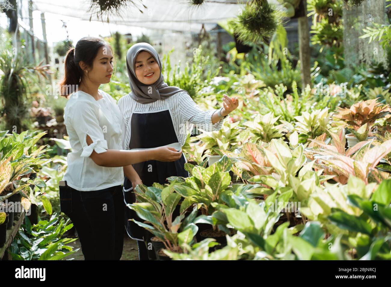 Mujer jardinera que aconseja al cliente durante la compra de plantas en el centro del jardín Foto de stock