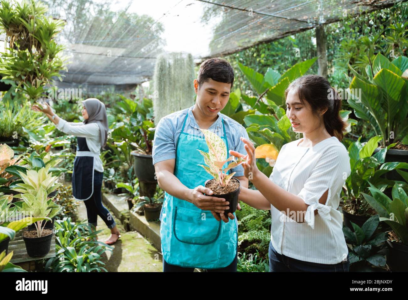 Jardinero y cliente durante la compra de plantas en el centro del jardín Foto de stock