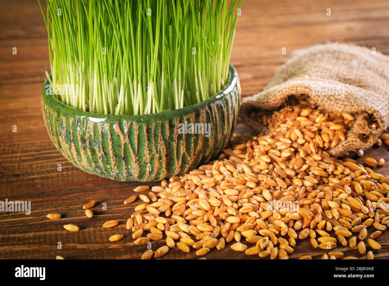 Semillas de trigo y hierba en maceta sobre mesa de madera Fotografía de  stock - Alamy