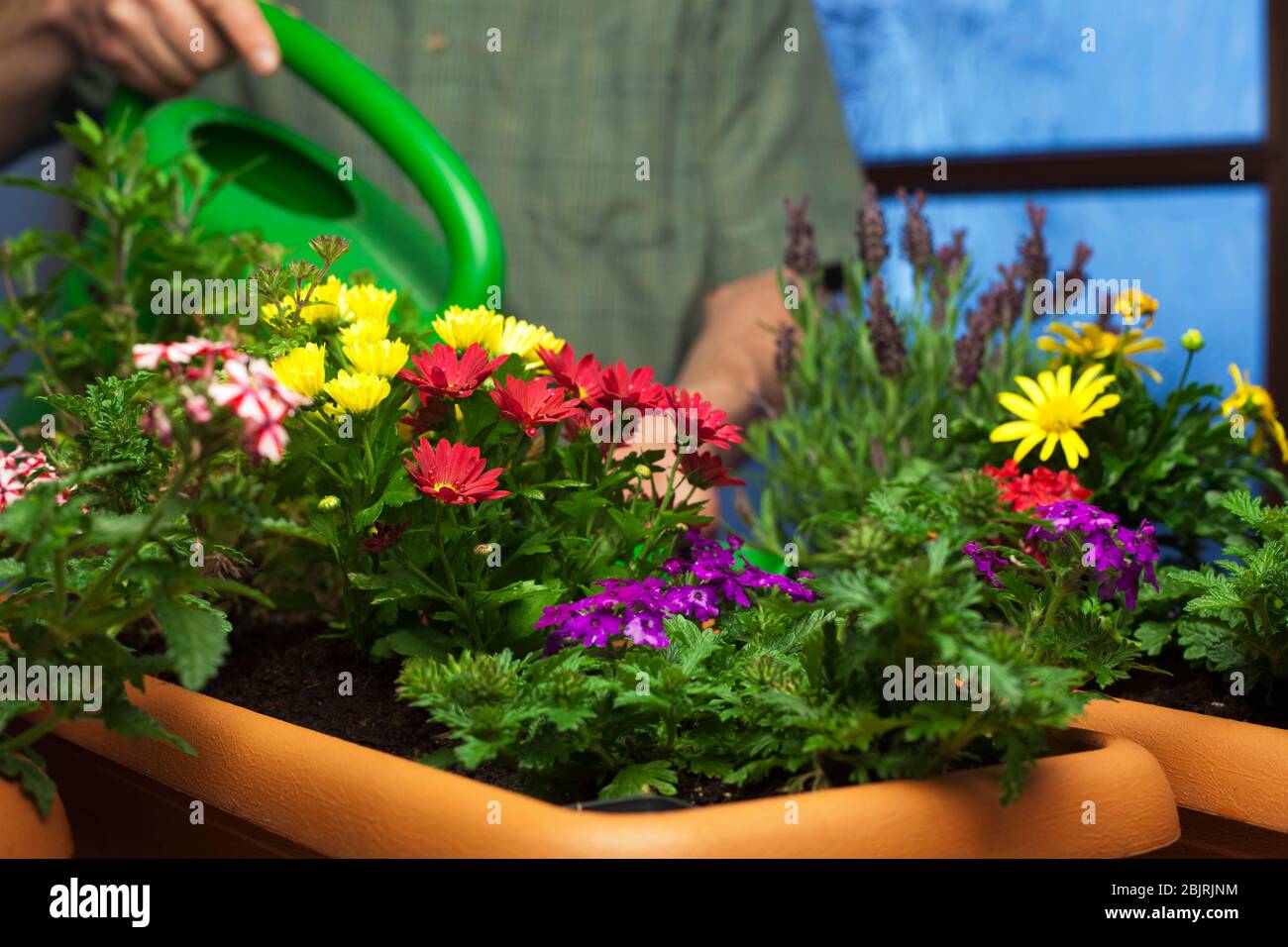 Toma Vertical De Una Manguera De Agua Cerca De Macetas De Flores De Cemento  En Un Jardín Imagen de archivo - Imagen de crecimiento, jardinero: 171975441