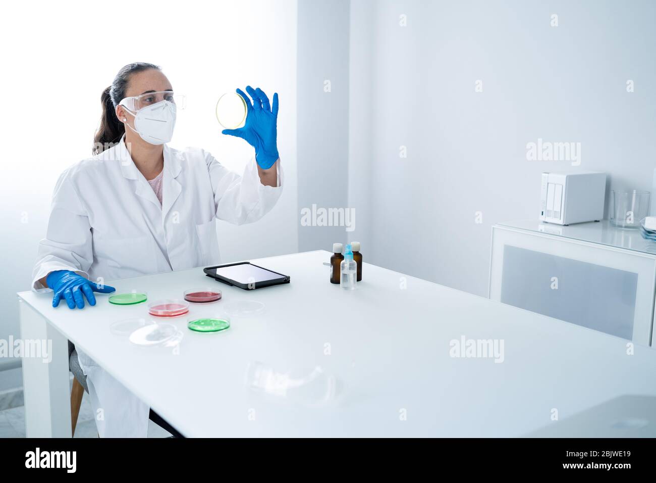 Investigadora o científica joven que examina la solución en un plato de Petri en un laboratorio. El investigador está analizando la innovación relacionada con la medicina. BI Foto de stock