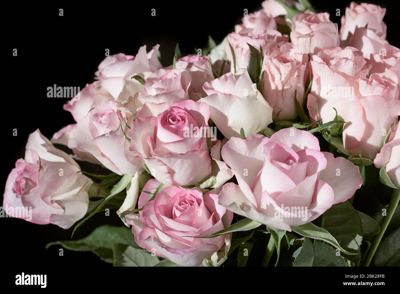 Primer plano de un ramo de flores con rosas rosadas aisladas sobre fondo negro Foto de stock