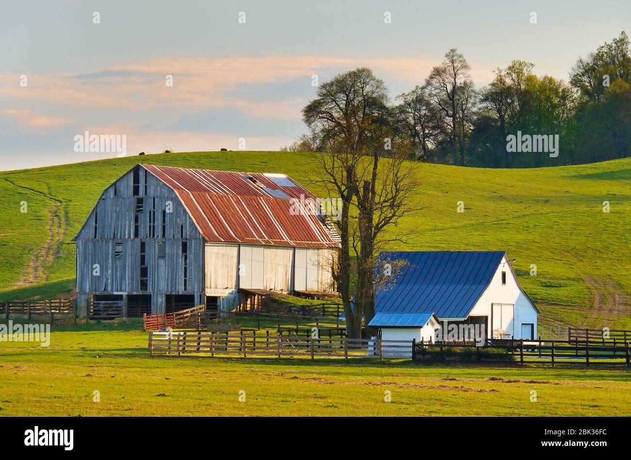 Cerca de la granja de Middlebrook en el Valle de Shenandoah, Virginia, EE.UU. Foto de stock