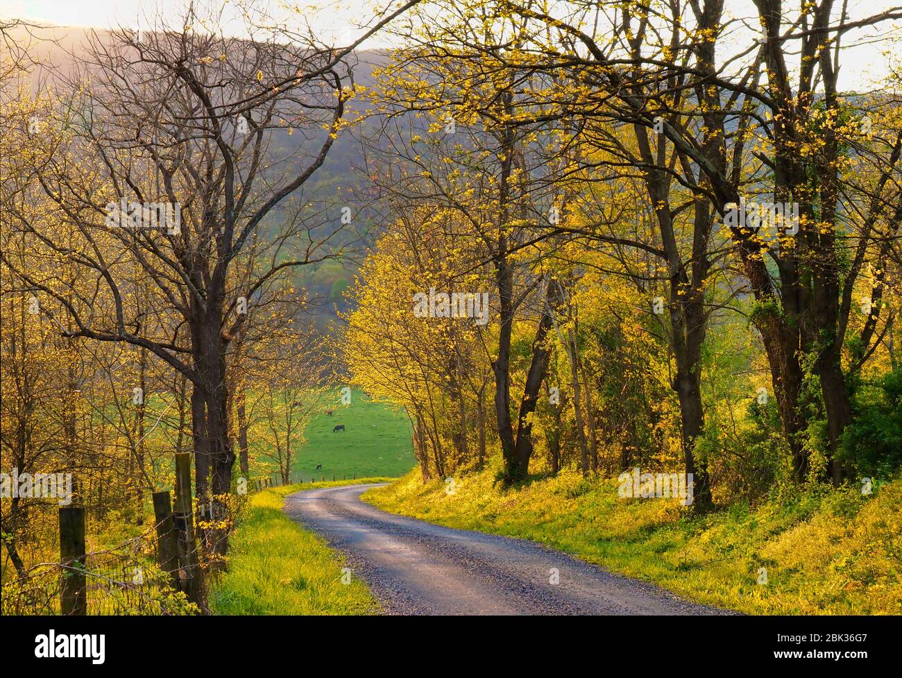 Camino de tierra cerca de Middlebrook en Valle de Shenandoah, Virginia, EE.UU. Foto de stock