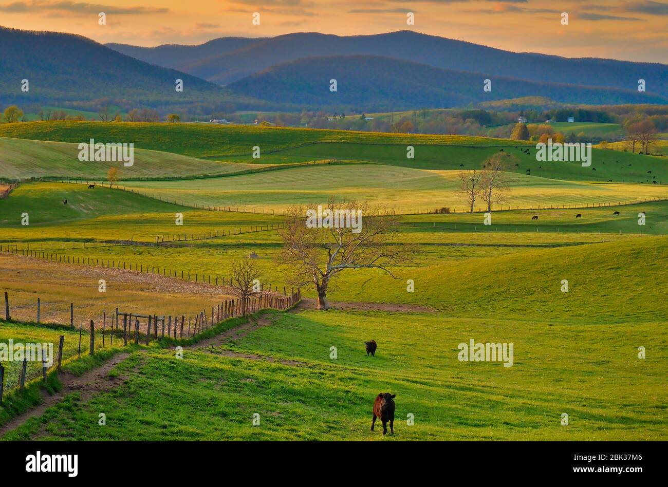 Granja en Swobope, Shenandoah, Valley, Virginia, Estados Unidos Foto de stock
