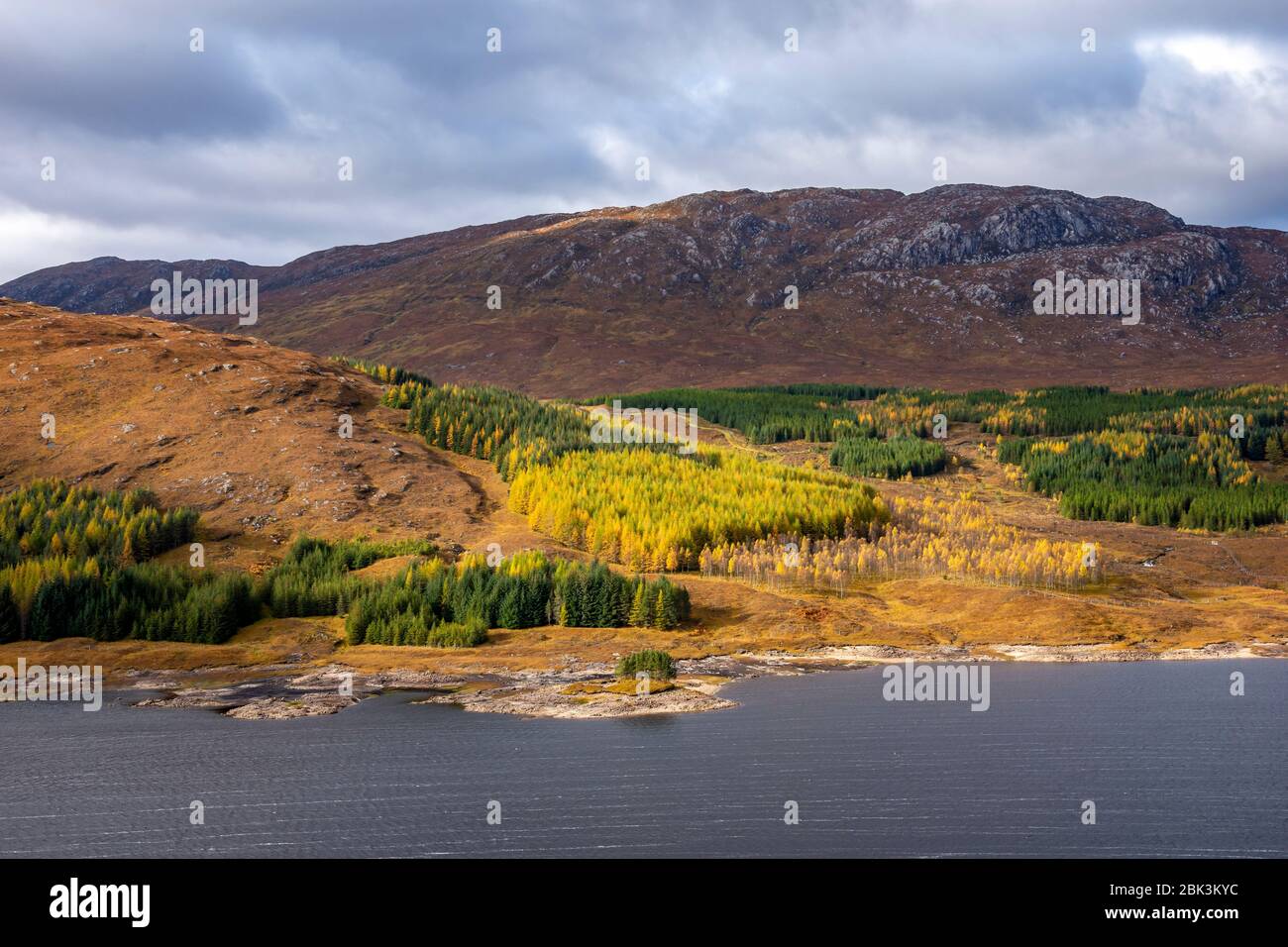 La vista al oeste sobre Loch Garry, Lochaber, Highland Region, Escocia, Reino Unido luz del sol otoño colores pinos Foto de stock