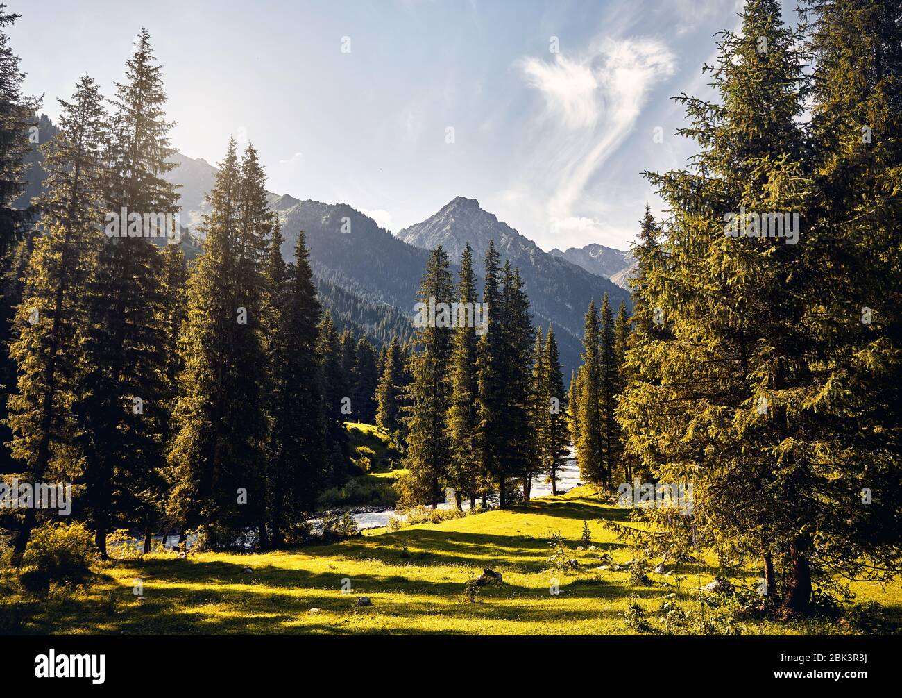 Paisaje de río y valle de montaña con abetos y pico nevado en Karakol, parque nacional de Kirguistán Foto de stock