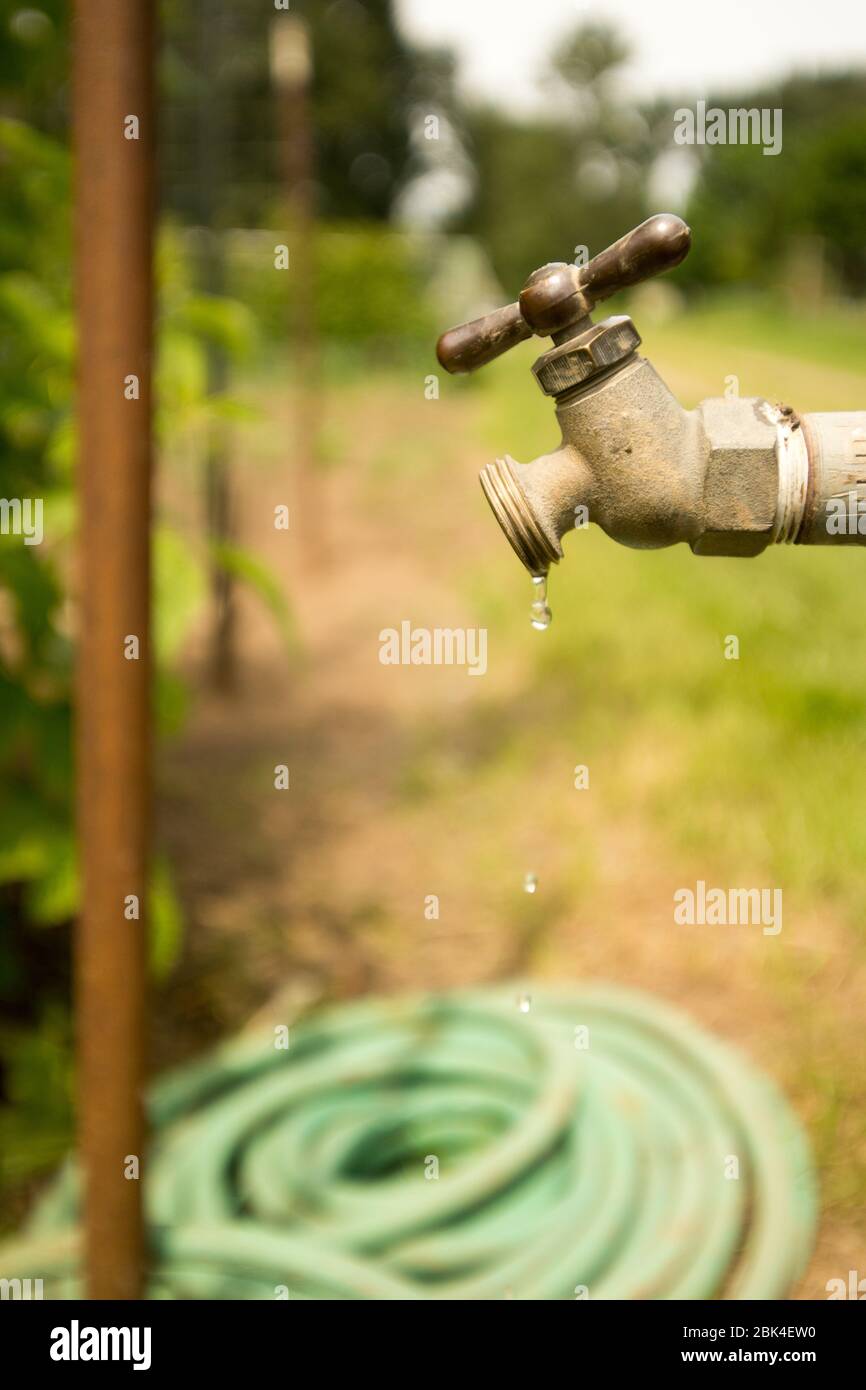 Primer plano de agua que gotea de un grifo exterior situado en un jardín  Fotografía de stock - Alamy