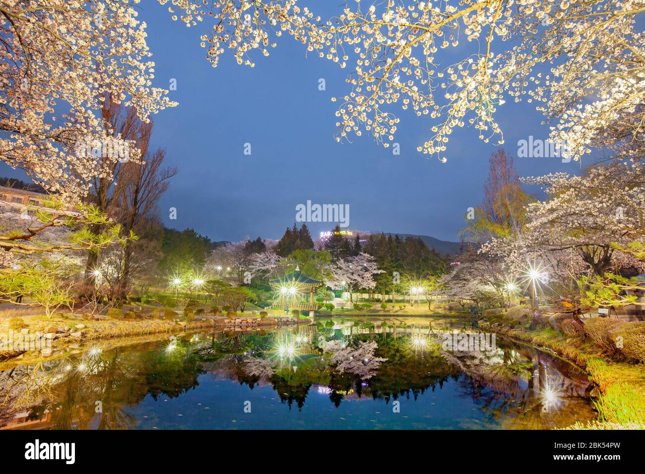 Vista nocturna, hermoso paisaje de cerezos en flor en el Pabellón Bomunjeong en Gyeongju, Corea Foto de stock