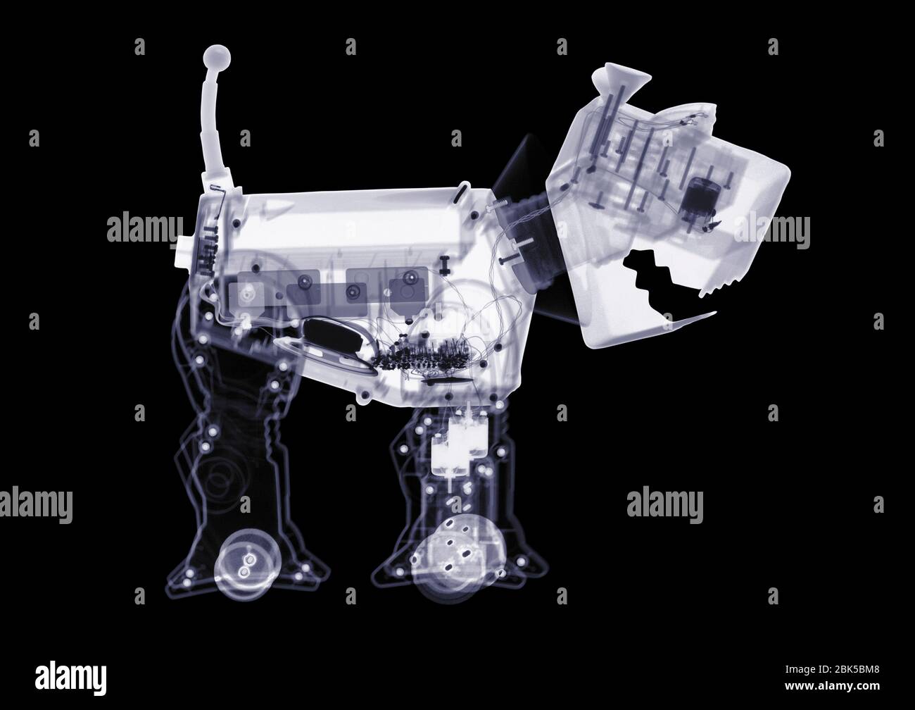 Perro de juguete electrónico, rayos X. Foto de stock